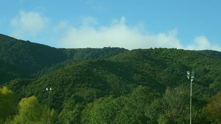 训练场上分组对抗的轮换安排（第二层是目标：俱乐部把哪个赛事排在前面）